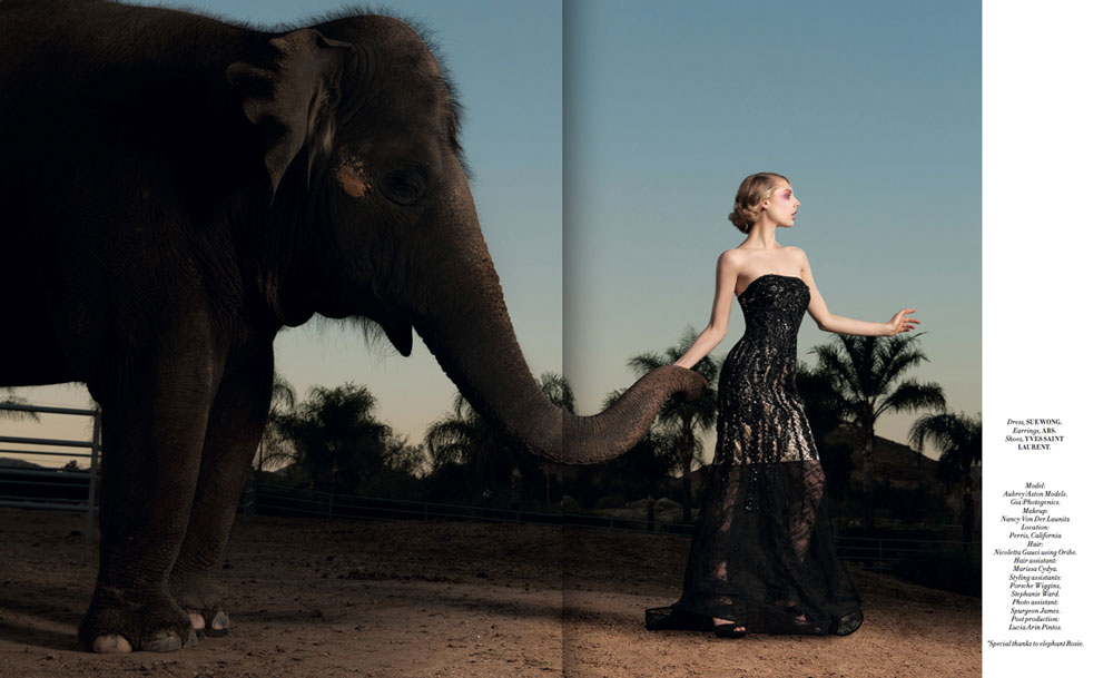 Retouch by Lucia Arin Pintos